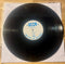 Beck--One Foot In The Grave, Vinyl Record