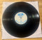 Beck--One Foot In The Grave, Vinyl Record