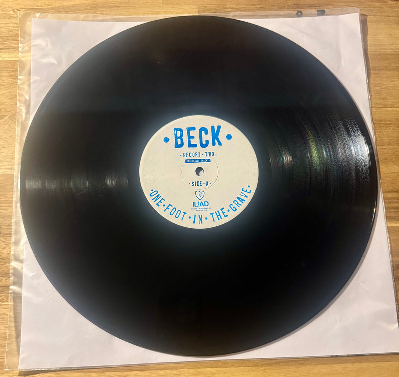 Beck--One Foot In The Grave, Vinyl Record