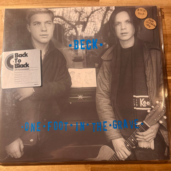 Beck--One Foot In The Grave, Vinyl Record – The Painted Porch Bookshop