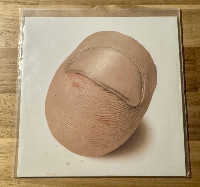 Beck--Mutations, Vinyl Record