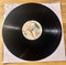 Cat Power--Moon Pix, Vinyl Record