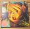 The Flaming Lips--Embryonic, Vinyl Record