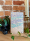 Blind Date With A Book