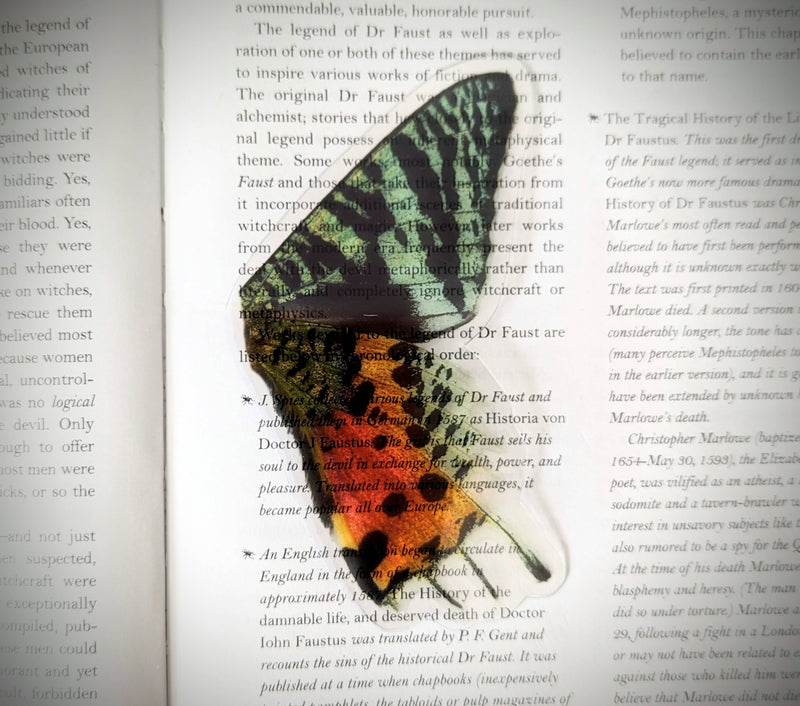 Dark Veinlet - Clear Bookmark - Madagasgar Sunset Moth Butterfly Wing