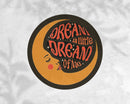 Cluster Funk Studio - Dream a Little Dream of Me