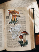 Fablewood Goods - Chanterelle | Waterproof Vinyl Sticker | 3"