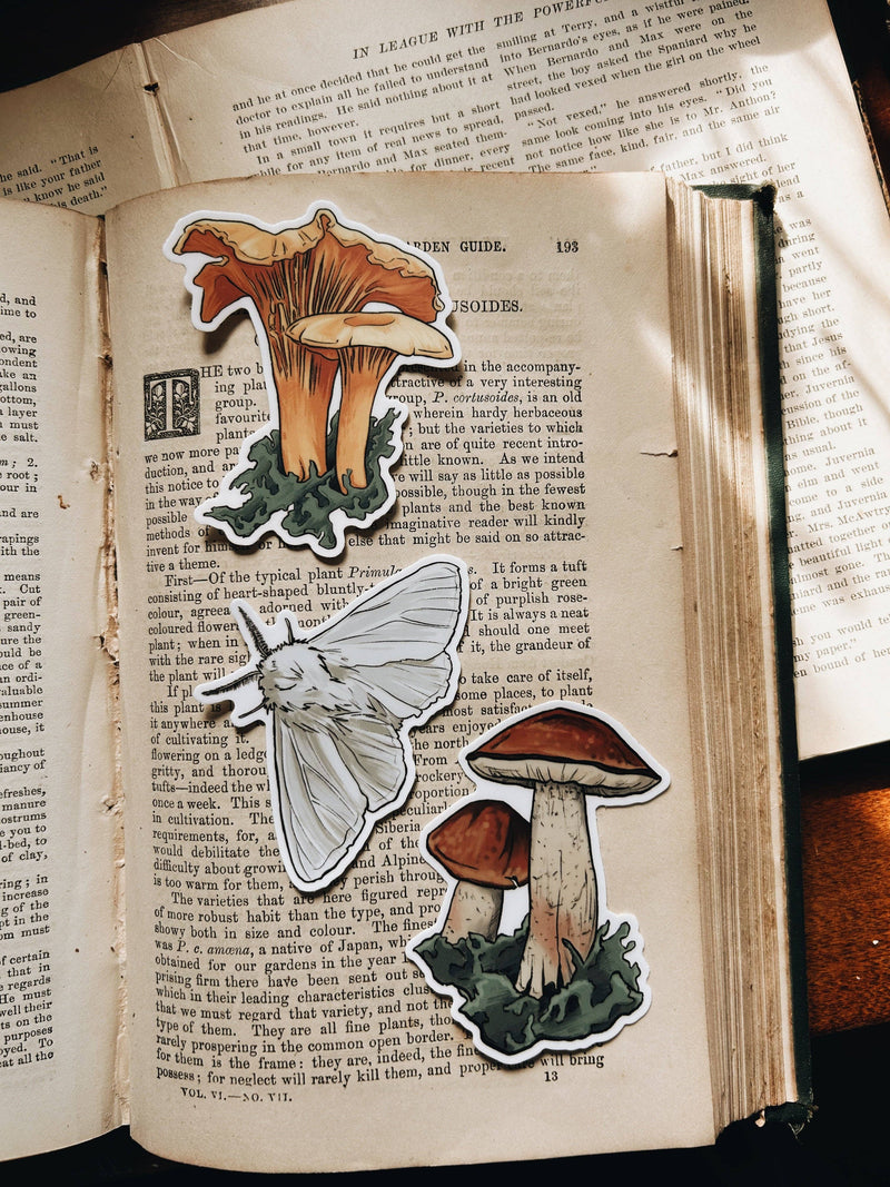 Fablewood Goods - Chanterelle | Waterproof Vinyl Sticker | 3"