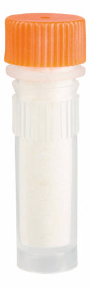 Toysmith - Beetle & Bee Bird Call - FSC Certified, Outdoor Play