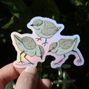 Microbiome Arts - Piping Plover Chicks 3” Sticker