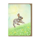Amy Rose Moore Illustration - Baby Bunny and Field of Flowers - Blank Card 