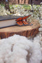 Meaggie Moos - 3D Monarch Butterfly Wings Bookmark | Soft Touch