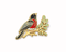 Wildship Studio - Robin Enamel Pin