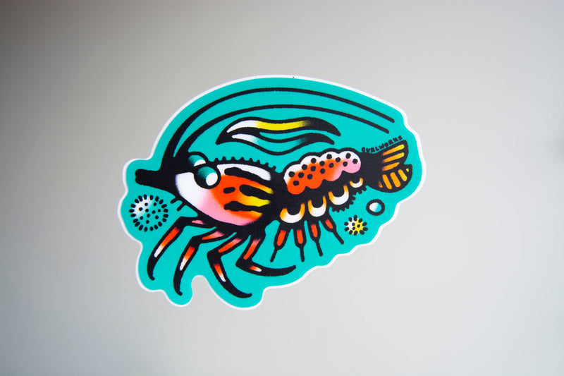 Curlworks - Shrimp - 3" Vinyl Sticker