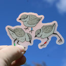 Microbiome Arts - Piping Plover Chicks 3” Sticker