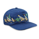 Bird Collective - California Quail Hat