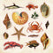 Peter Pauper Press - The Sticker Book of Curiosities
