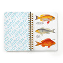 Chronicle Books - Brass Monkey Judgy Fish Sticker Book