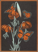 Found Image Press - Postcard IS-123 Monarch Butterflies