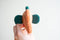 Curlworks - The Fish Pouch - Coral / Dark Green