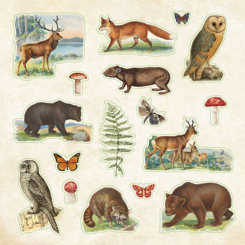 Peter Pauper Press - Zoological Ephemera Sticker Book