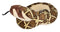 Wild Republic - Snake Western Diamondback Stuffed Animal 54"