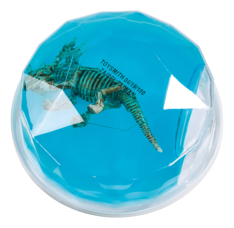 Toysmith - Dinosaur Fossil Putty, Reusable, Tactile, 3-1/2" container