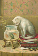 Found Image Press - Postcard KC-38 Cat Watching Frog and Fish