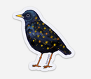 Soy Moss Art - Starling Glitter Sticker (Orange/White Background)