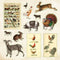 Peter Pauper Press - Zoological Ephemera Sticker Book