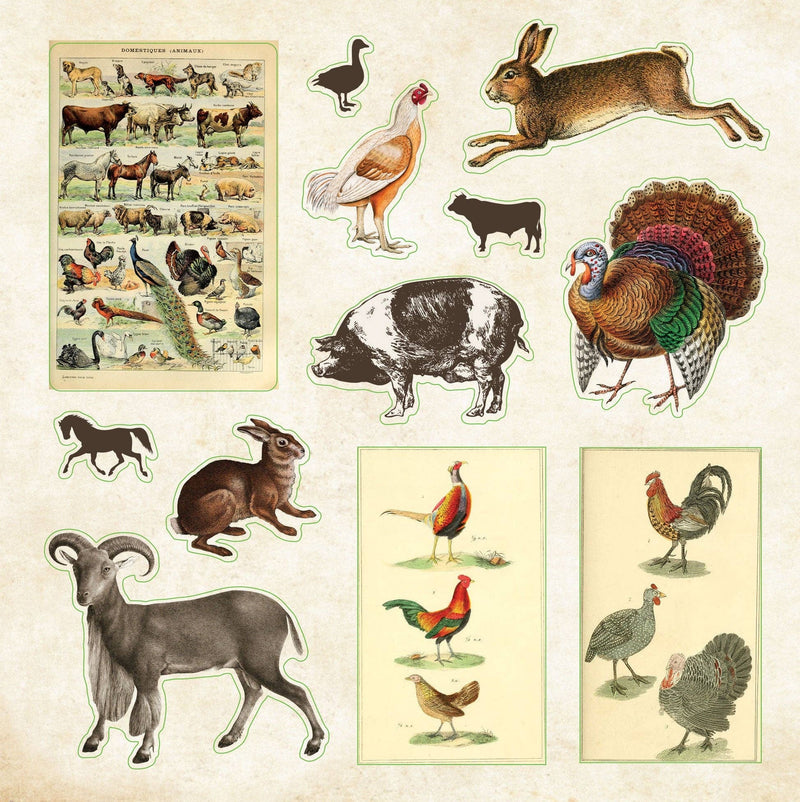 Peter Pauper Press - Zoological Ephemera Sticker Book