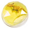 Toysmith - Dinosaur Fossil Putty, Reusable, Tactile, 3-1/2" container