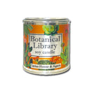Fly Paper Products - Desert Cactus Botanical Library 8oz Soy Candle w Succulents
