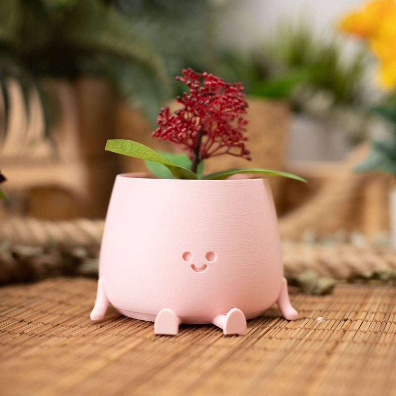 happy pot planter Ingadi - Happy Pot Planter