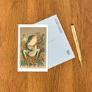 Found Image Press - Postcard AN-62 Frog Playing Banjo in Moonlight