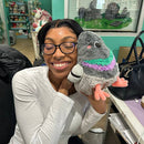 Squishable - Squishable - Mini Pigeon Plush