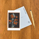 Found Image Press - Postcard IS-123 Monarch Butterflies