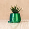 Ingadi - Happy Pot Planter - Alocasia Leaf Face : Medium