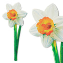 if USA - Flower Bookmarks