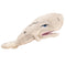Unemployed Philosophers Guild - Moby Dick Finger Puppet