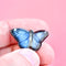 Camp Hollow - Blue Butterfly Necklace