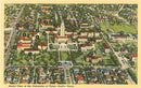 Found Image - TX-620 Bird's Eye View of University of Texas - Vintage Image, Note Card
