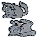 Unemployed Philosophers Guild - Schrödinger's Cat Pins
