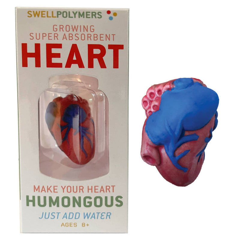 Copernicus Toys - Extra Large Swell Polymer Heart