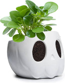 Ghost Geometrical White Plant Planter Pot 6" Deep