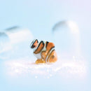 Camp Hollow - Worlds Tiniest Clown Fish Figurine