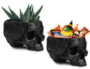 Skull Plant Planter Pot 6" H Polyresin Skull Planter Black