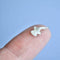 Camp Hollow - World's Tiniest Hammerhead Shark Figurine