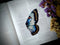 Dark Veinlet - Clear Bookmark - Blue Purple Butterfly Wing Dark Academia