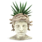 Medusa Head Planter, Large Solid Stone Face Planter